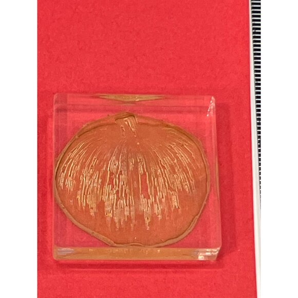 Pumpkin Photopolymer Stamp On Clear Acrylic Block - Picture 4 of 4